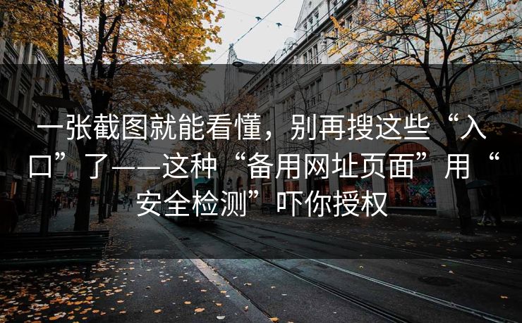 一张截图就能看懂，别再搜这些“入口”了——这种“备用网址页面”用“安全检测”吓你授权