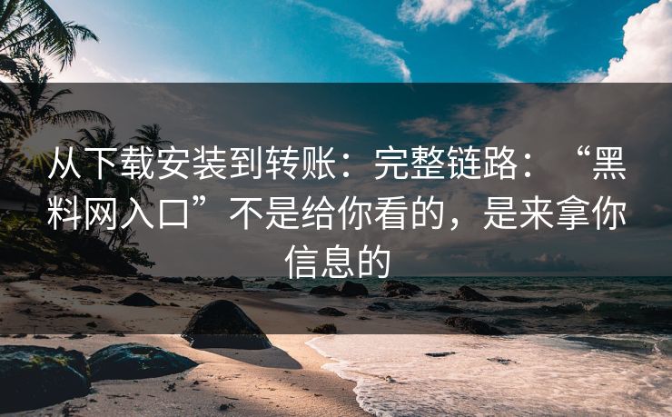 从下载安装到转账：完整链路：“黑料网入口”不是给你看的，是来拿你信息的