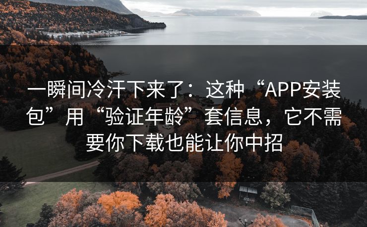 一瞬间冷汗下来了：这种“APP安装包”用“验证年龄”套信息，它不需要你下载也能让你中招