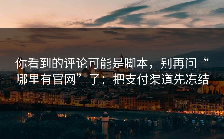 你看到的评论可能是脚本，别再问“哪里有官网”了：把支付渠道先冻结