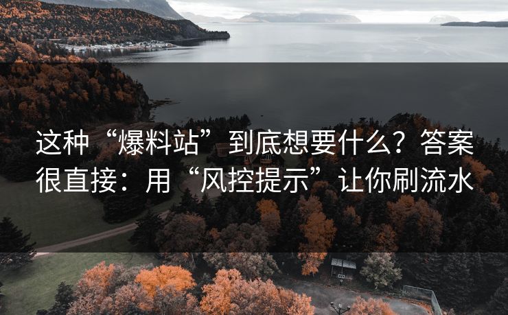 这种“爆料站”到底想要什么？答案很直接：用“风控提示”让你刷流水