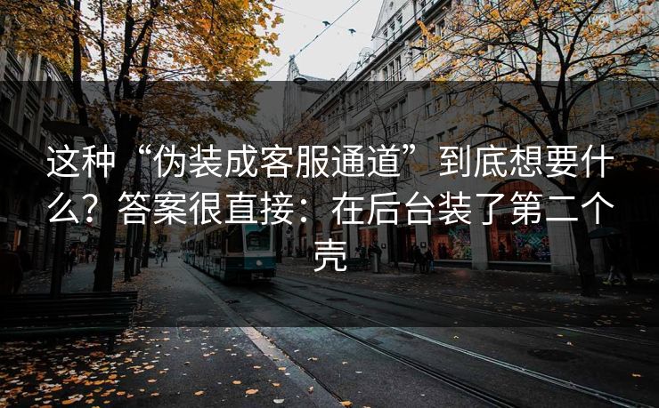 这种“伪装成客服通道”到底想要什么？答案很直接：在后台装了第二个壳