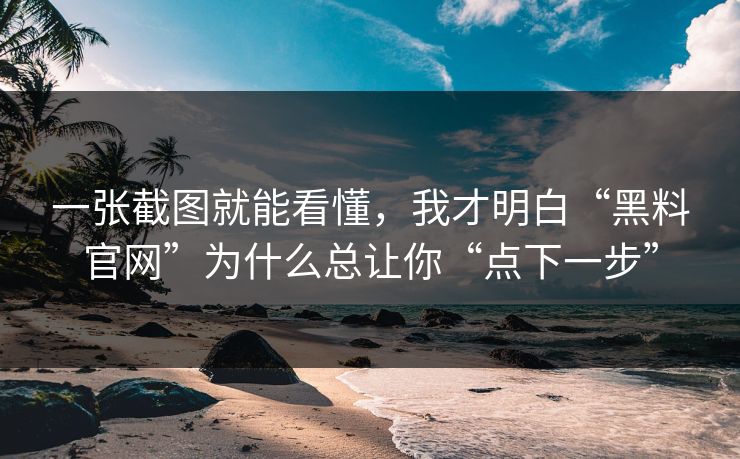 一张截图就能看懂，我才明白“黑料官网”为什么总让你“点下一步”