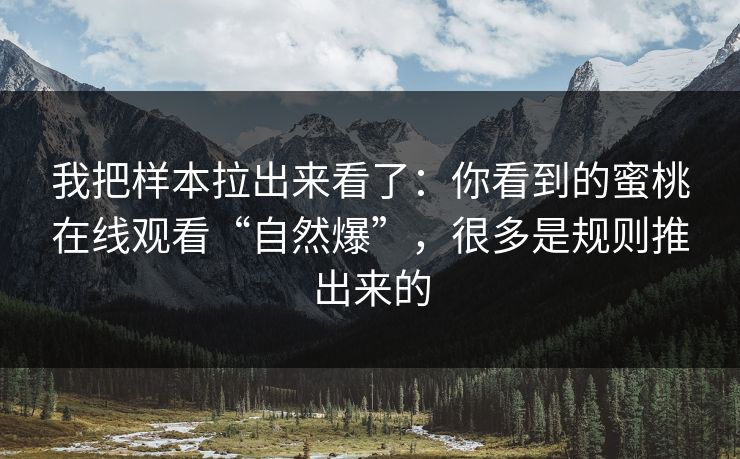 我把样本拉出来看了:你看到的蜜桃在线观看“自然爆”,很多是规则推出来的 我把样本拉出来看了:你看到的蜜桃在线观看“自然爆”,很多是规则推出来的