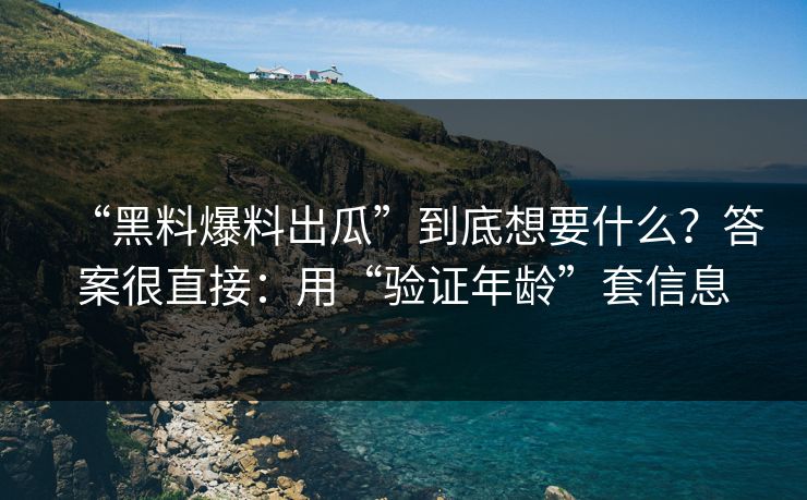 “黑料爆料出瓜”到底想要什么?答案很直接:用“验证年龄”套信息 “黑料爆料出瓜”到底想要什么?答案很直接:用“验证年龄”套信息